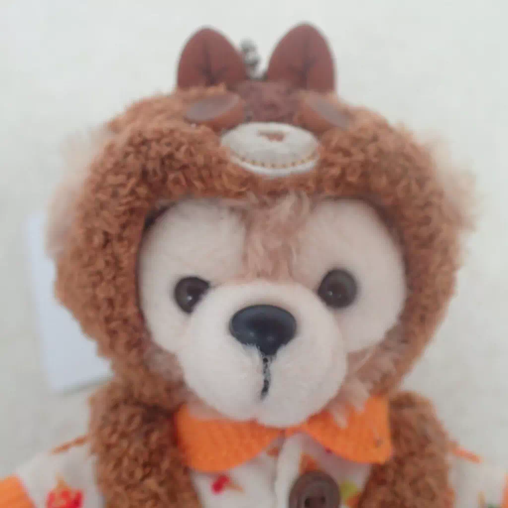 ディズニー ダッフィー ぬいぐるみバッジ 秋のぼうけん2019 タグ付き_顔面