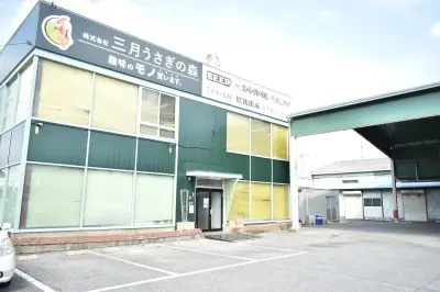 三月うさぎの森