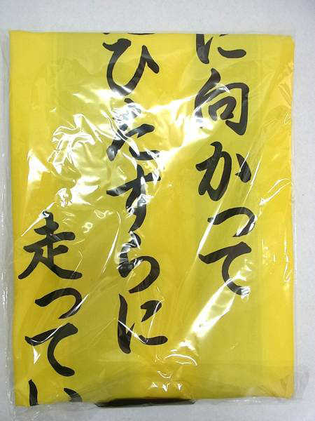 伊藤千由李 法被