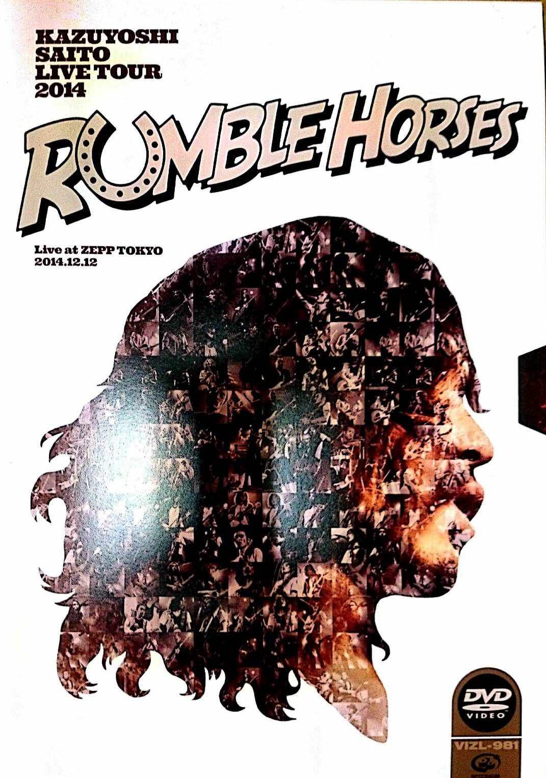 KAZUYOSHI SAITO LIVE TOUR 2014 “RUMBLE HORSESLive at ZEPP TOKYO 2014.12.12 (DVD初回限定盤)