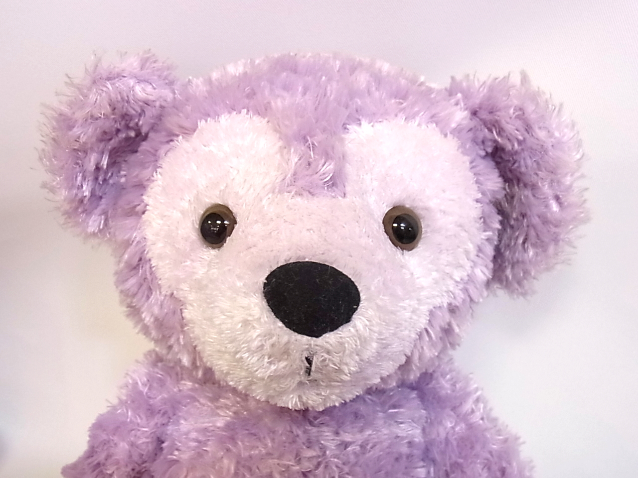 宅配買取 貴重な初期ダッフィーやwdwカラーダッフィーを千葉県千葉市よりお売り頂きました 良盤ディスク 宅配買取 貴重な初期ダッフィーやwdwカラーダッフィーを千葉県千葉市よりお売り頂きました 良盤ディスク