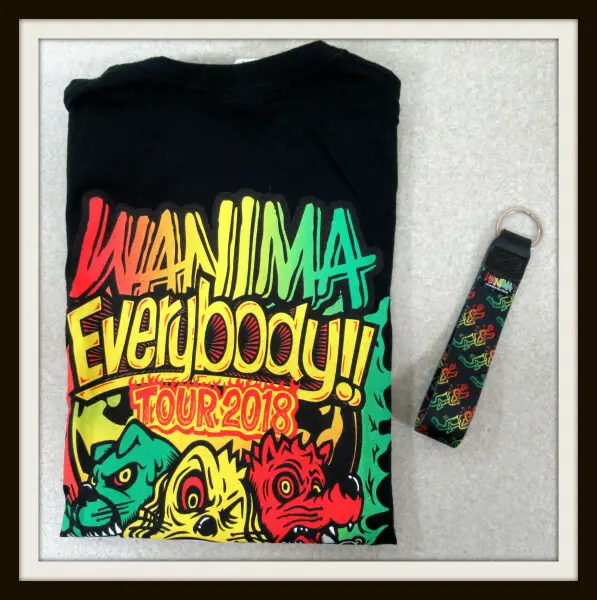 WANIMA EVERYBODY TOUR2018 エビバデTシャツ Mサイズ+ストラップキーホルダー