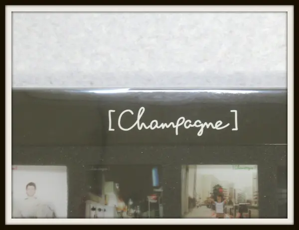 Champagne] 武道館限定 ジャケットバッジセット1