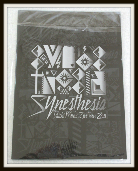 三浦大知 DAICHI MIURA LIVE TOUR 2011 〜Synesthesia〜　パンフレット