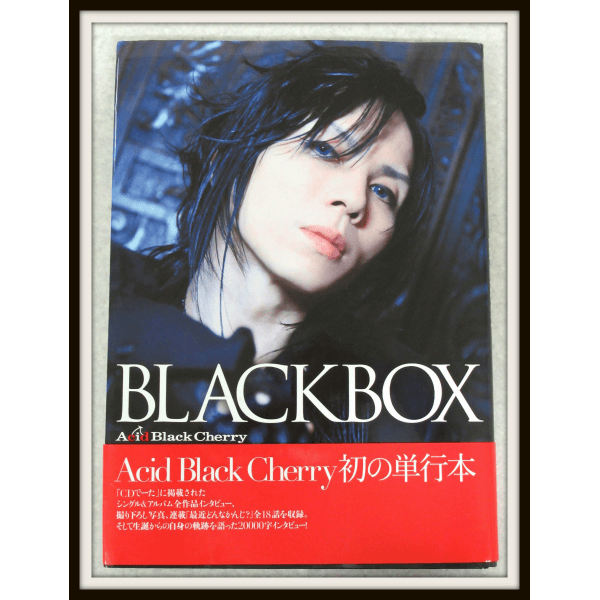 Acid Black Cherry パンフレット13冊