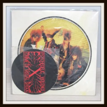 X JAPAN Vanishing Vision 5000枚限定 ピクチャーレーベル盤 レコード LP