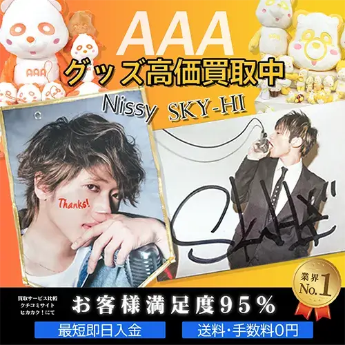 AAA Nissy SKY-HI まとめ売り - ミュージシャン