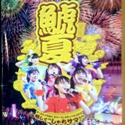 チームしゃちほこサマーフェスティバル2013~略してしゃちサマ♪(Blu-ray)