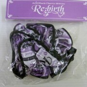 シュシュ 2010 Live Re:birth Acid Black Cherry シュシュ 2010 Live Re:birth Acid Black Cherry