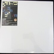 ZARD 揺れる想い レコード LP　ZARD