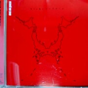 ONE OK ROCK　Nicheシンドローム(初回限定盤)(DVD付)