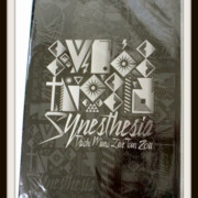 三浦大知 LIVE TOUR 2011 Synesthesia パンフレット