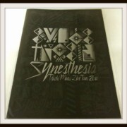 三浦大知 LIVE TOUR 2011 Synesthesia パンフレット