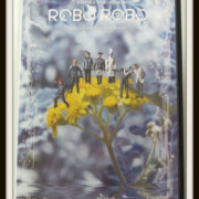舞台 ROBOROBO DVD