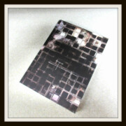 未開封 INORAN ドキュメント写真集 Monophonic ファンクラブ限定版 DVD付 未開封 INORAN ドキュメント写真集 Monophonic ファンクラブ限定版 DVD付