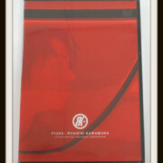 RKFC限定 F120A LIVE DVD LUNA SEA