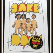 SAKEROCK ぐうぜんのきろく DVD