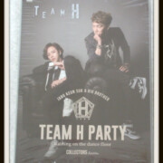 TEAM H PARTY TOUR DVD COLLECTORS EDITION