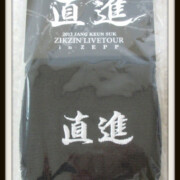 2013 ZIKZIN LIVE TOUR 直進 リストバンド