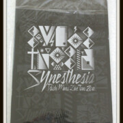 三浦大知 DAICHI MIURA LIVE TOUR 2011 〜Synesthesia〜　パンフレット