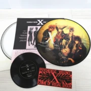 X JAPAN 500枚限定 ピクチャーレコード VANISHING VISION LP X JAPAN 500枚限定 ピクチャーレコード VANISHING VISION LP