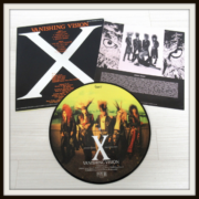 X JAPAN Vanishing Vision 5000枚限定 ピクチャーレーベル盤 レコード LP