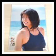 有村架純 俳優・タレント 有村架純 2017年 壁掛けカレンダー 新品未開封 FLAME