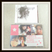 大森靖子&THE ピンクトカレフ vs.IDOL 2013.09.16 DVD＋「トカレフ」CD