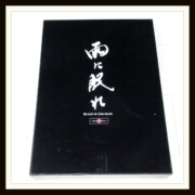DVD 『雨に眠れ』Special Edition DVD 『雨に眠れ』Special Edition 矢沢永吉 ビビアン・スー 三浦春馬