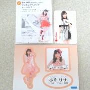 つばきファクトリー 小片リサ フィギュアスタンドキーホルダー ステッカー トレカ つばきファクトリー 小片リサ フィギュアスタンドキーホルダー ステッカー トレカ