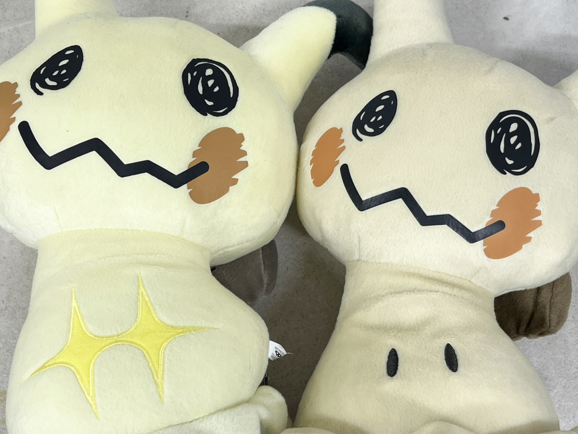 実は体の特徴が異なる